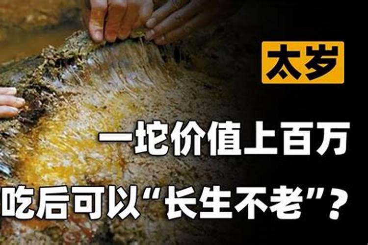 民间故事 济公斗蟋蟀