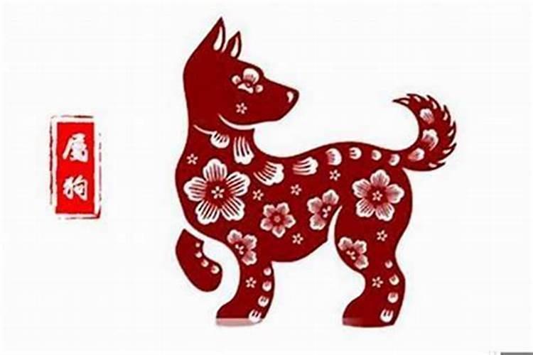 24年属狗的总体运程每月运势讲解
