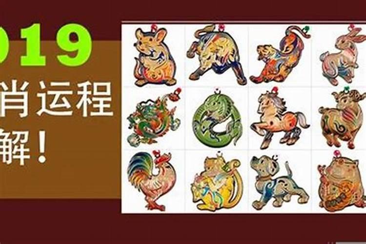 属猴跟属狗相配吗属猴跟属狗配不配