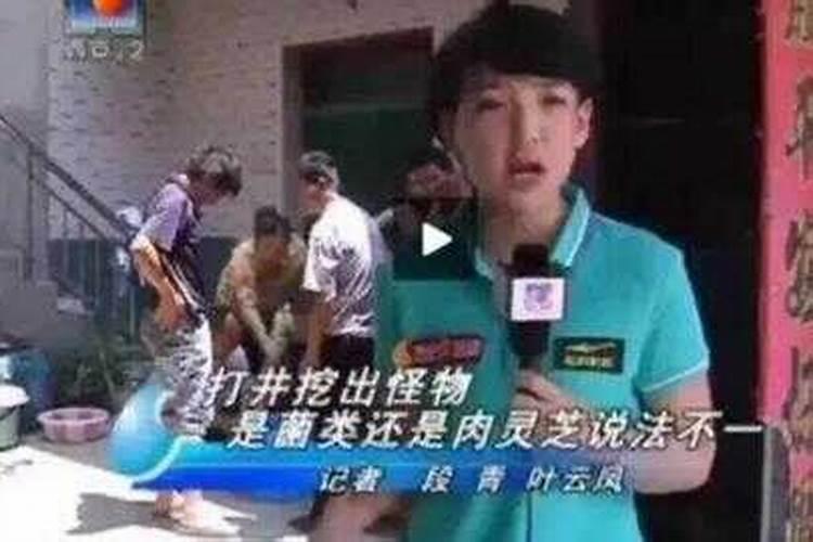 什么叫做太岁.从哪里来的.