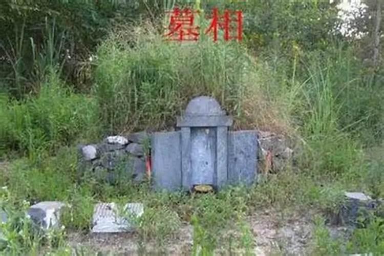 马尾花灯在什么地方