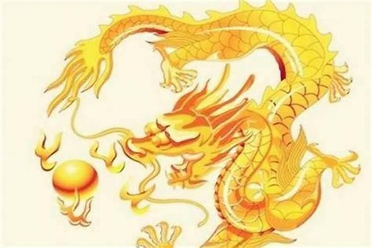 龙的最佳属相婚配表