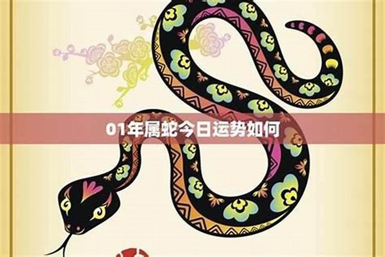 属蛇人今年的运气和财运 77年蛇2024年有三喜