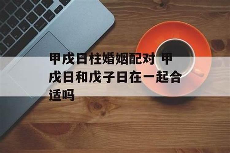 2025年最旺的四个属相