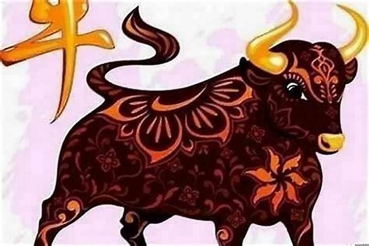 本命年牛年注意什么 本命年牛年有哪些注意事项