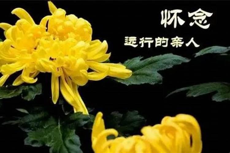 清明节悼念父母的语句