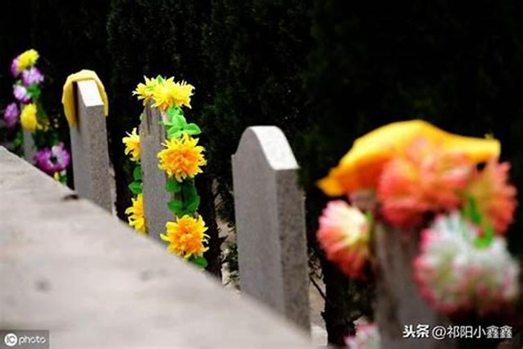 清明节悼念父母的语句 清明节说说心情短语推荐51句