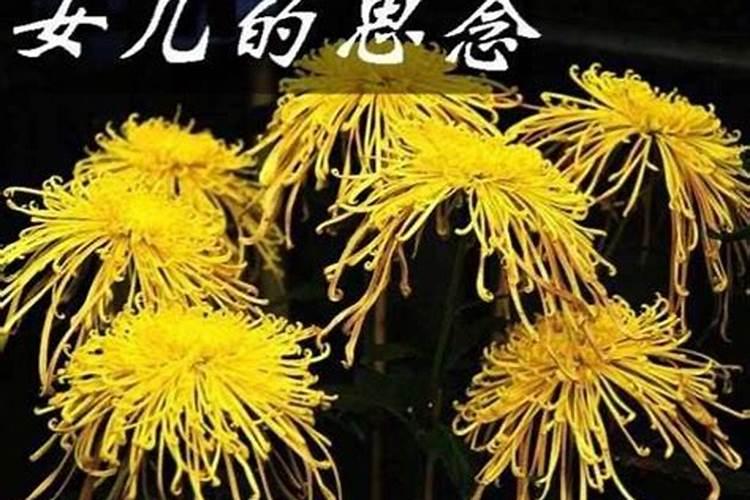 女人堕胎能不能去拜佛