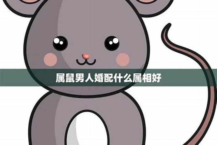 紫微星化权是什么意思