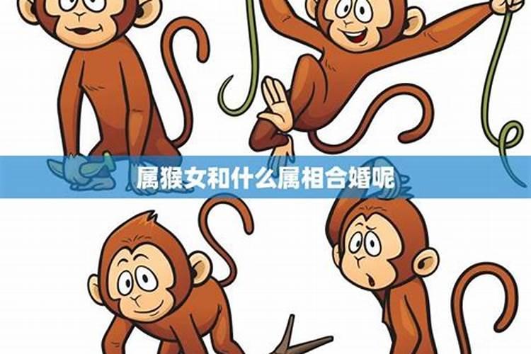 属虎的属相婚配表大全 古代生肖婚配有哪些禁忌？