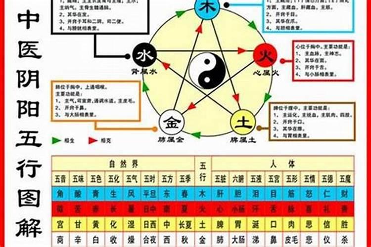 如何判断自己是金木水火土命