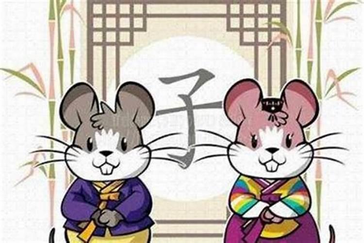 属鼠与属猪的婚姻合适吗