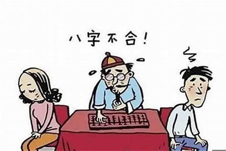鸡和蛇相配婚姻如何,八字合婚属蛇与属蛇相配吗