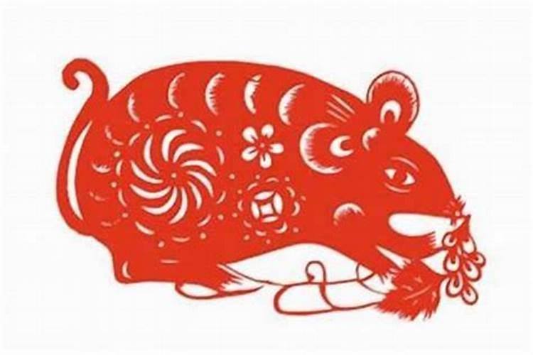 属鼠男婚配哪个属相好,1996年男属鼠的人婚配