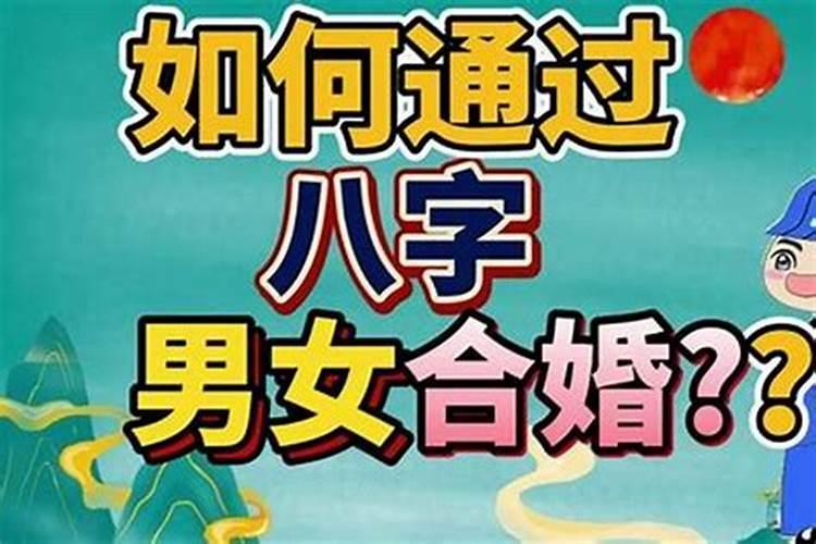 八字合婚是哪八个字 十二生肖进行配婚？