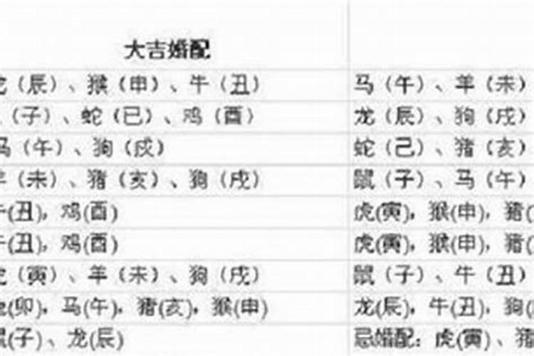 女牛配什么属相最好婚姻