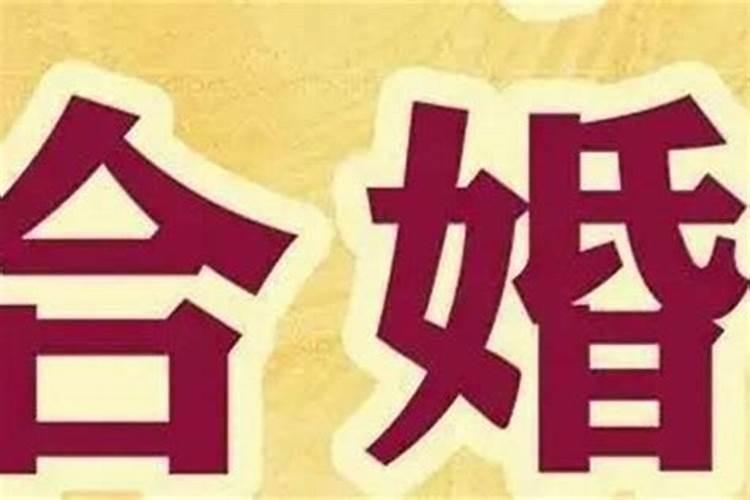 合婚是什么意思？哪位能讲解呢？