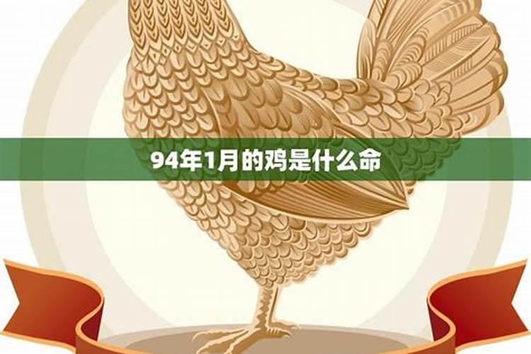 93年属鸡2025年的运势和婚姻如何