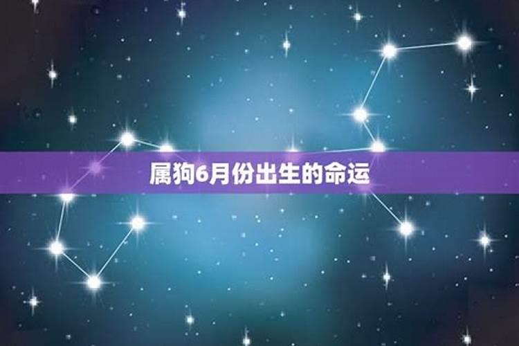 属狗出生在几月是旺月 哪个月份命最苦 提运方式？
