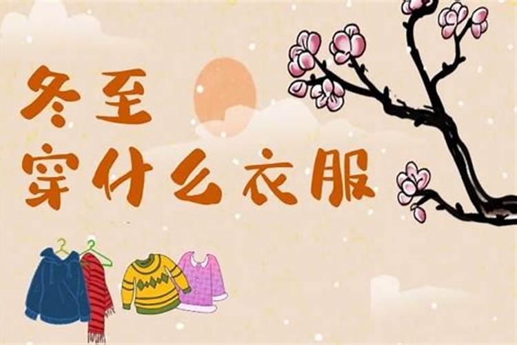 马和狗相配婚姻如何
