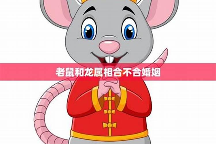 测缘分:属鼠男和属龙女八字合不合 算配对指数