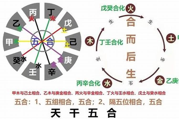 戊申与壬子女婚配是否好,已己丙子壬子戊申女的