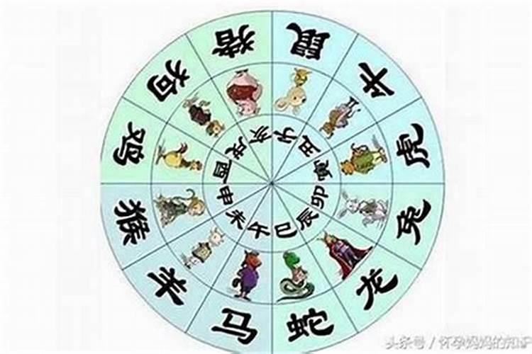 属马的几月出生最好命阴历女孩