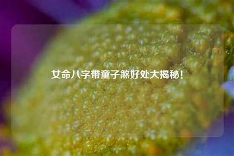 梦见狗扑咬自己但是没咬到
