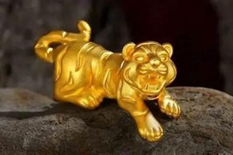 属猪的蛇年犯太岁吗
