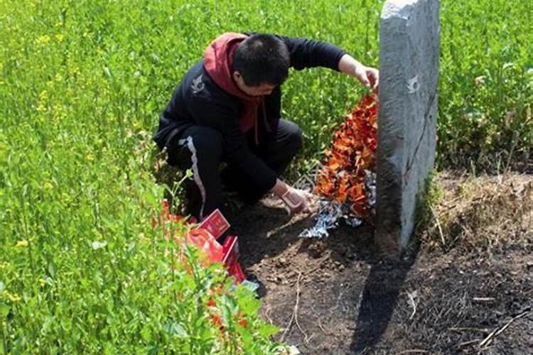 梦见上坟放鞭炮