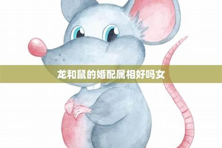 晋江的节日习俗