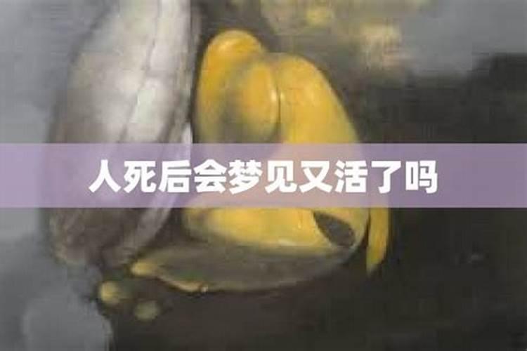 梦见活着的奶奶去世又复活