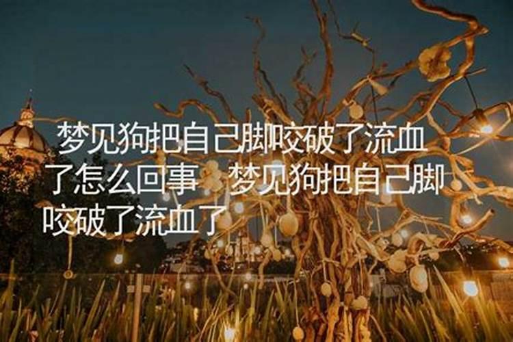 梦见自己狗狗流血的预兆