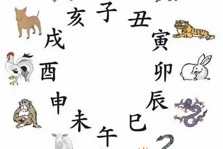 申酉年是19几几年