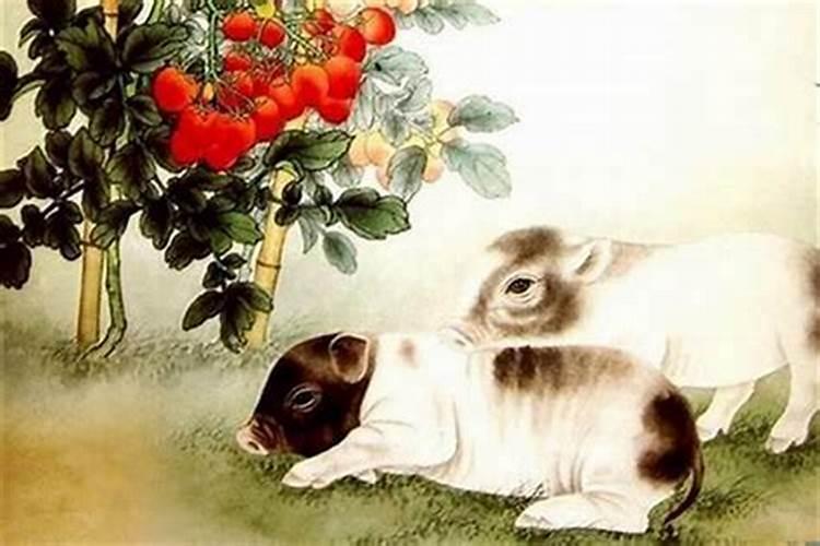属鸡的和属鼠的合不合