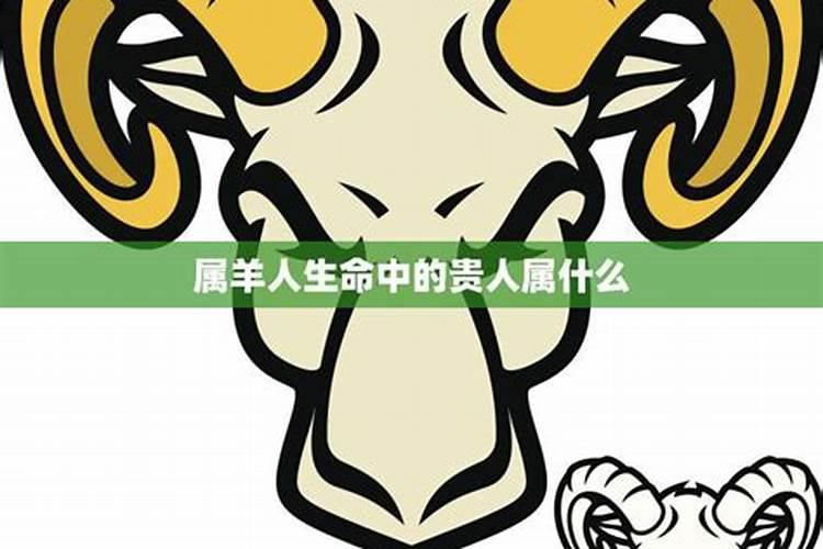 属羊人一生最旺3个人属相