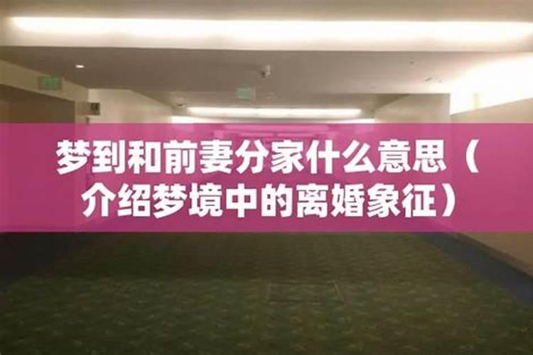 梦见离异的前妻的预兆