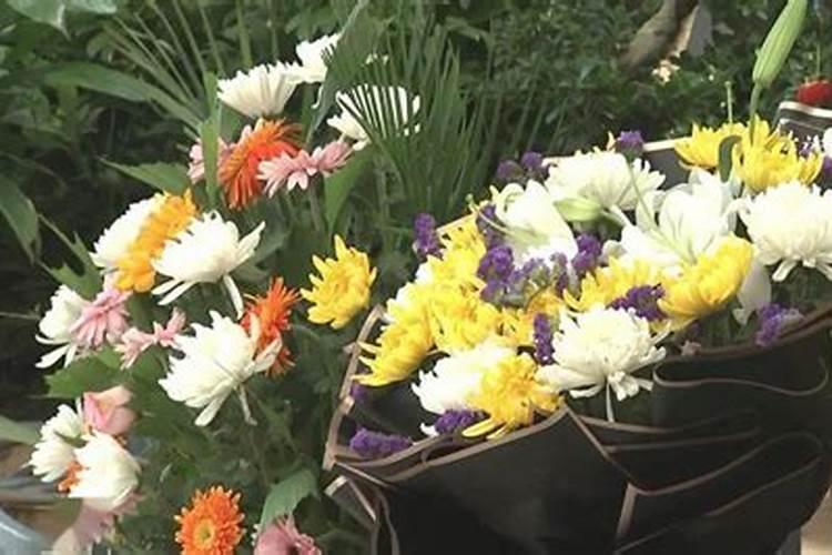 冬至节的代表花是什么,冬至节送花的花语