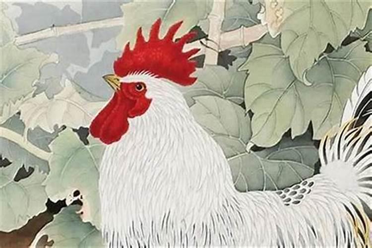属鸡今年的婚姻怎么样