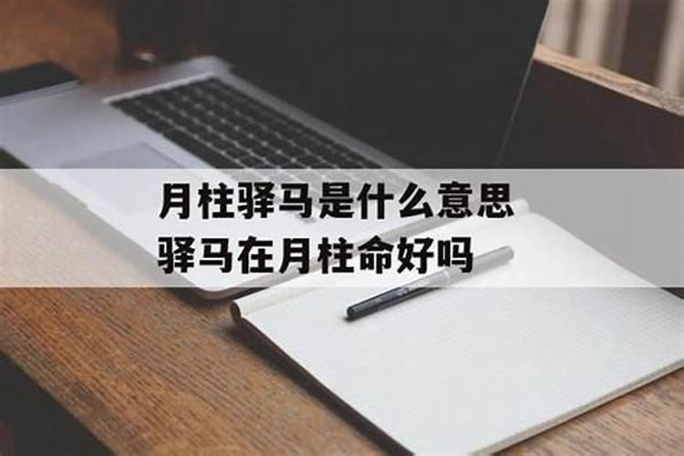 时柱驿马是什么意思？