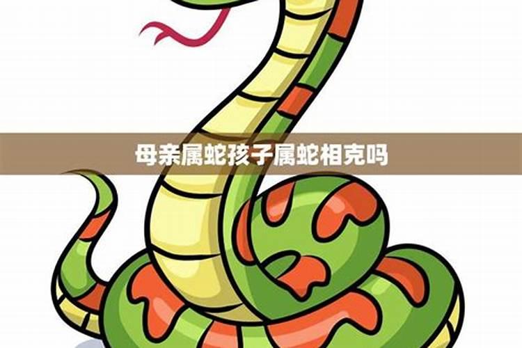 属蛇的妈妈适合生属龙的孩子吗 性格起着互补作用？