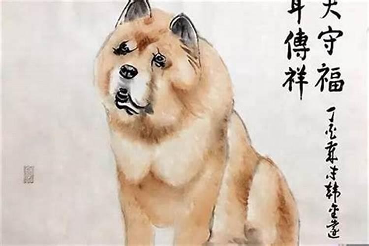 哪些月份出生的属狗人越老越幸福