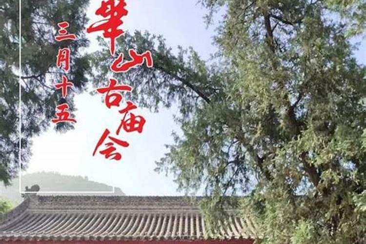 1991年农历6月初七是什么星座？