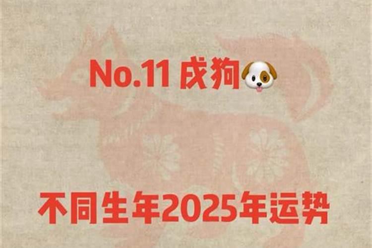 82年属狗人2025运势运程