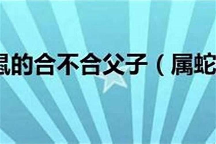正月十五沈阳哪里有灯会