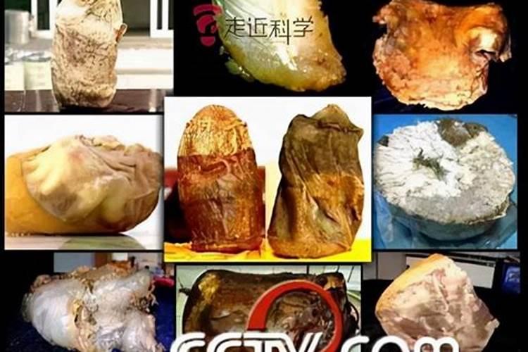 快手卖的太岁是真的吗