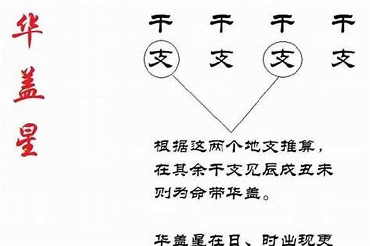 本命年的人是不是运气不好