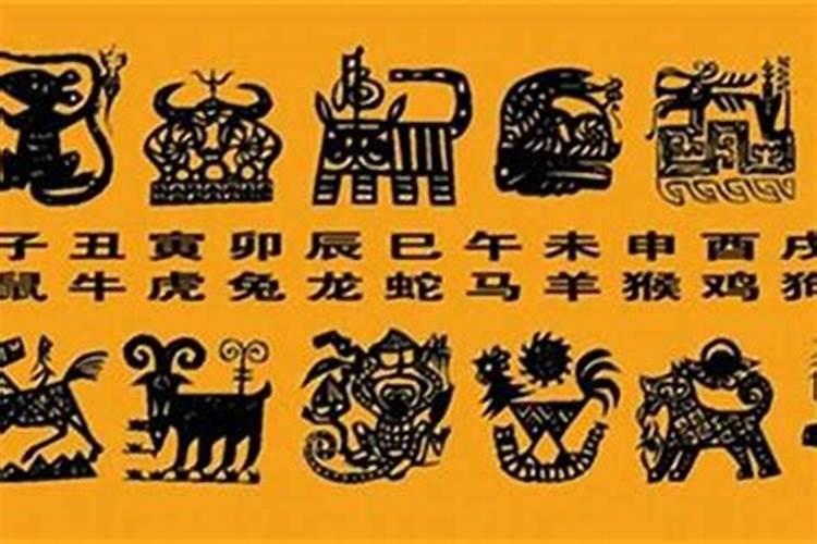 闹离婚分居又梦见老婆回来了