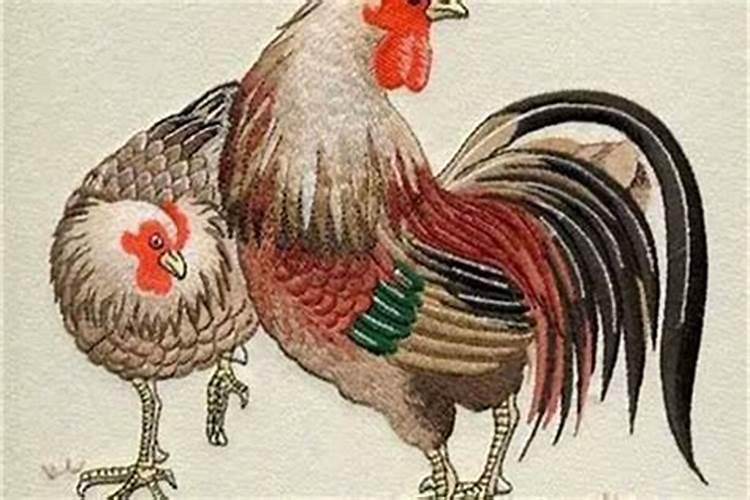 男属猪95年5月20女属鸡93年7月4八字合不合