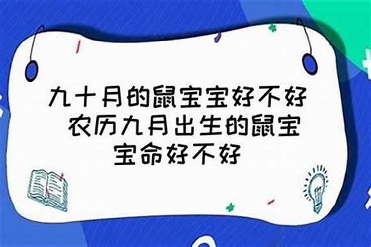 属鼠腊月生是什么命女宝宝命好不好